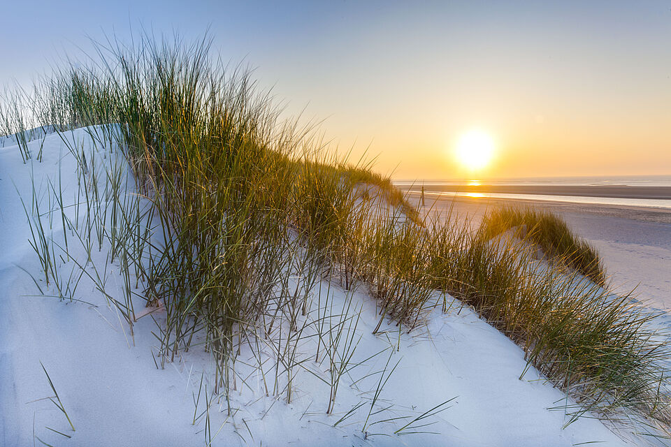 Urlaub am Meer Düne mit Sonnenuntergang überm Meer im Hintergrund